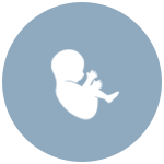 Consultatii medicina materno fetala ecografii morfologie Femme Boutique Medical I Femmeboutiquemedical.com